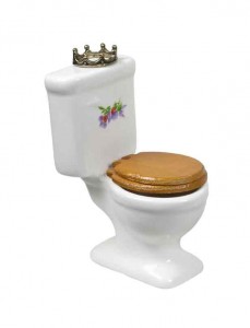 Naperville Toilet-History